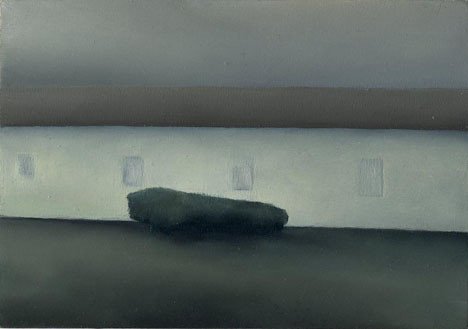 knopp 11